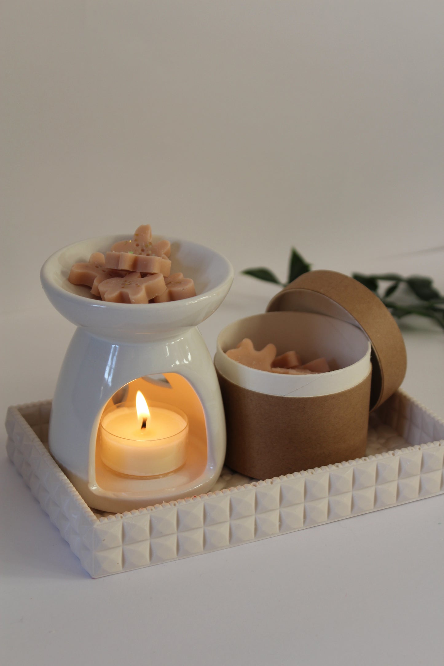 COFFRET MAX MELTS PRISMA