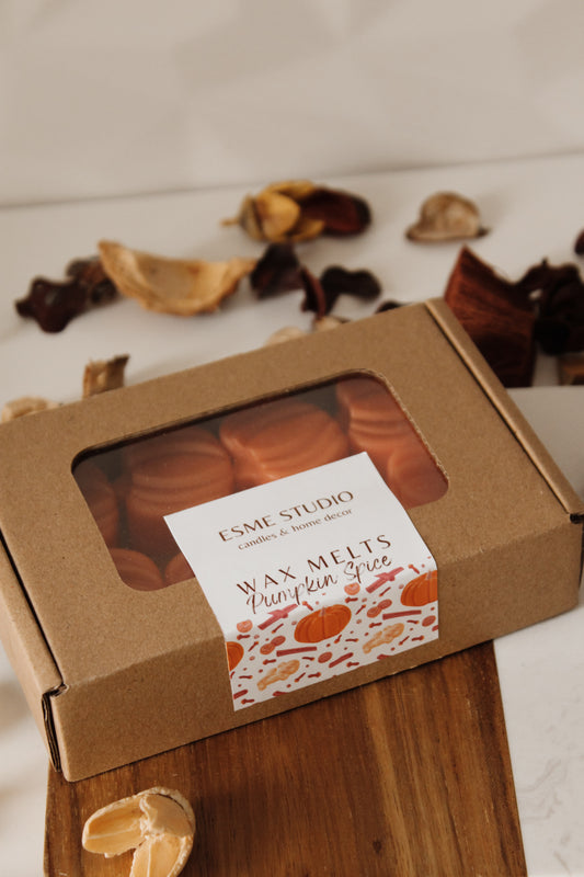 MAX MELTS PUMPKIN SPICE