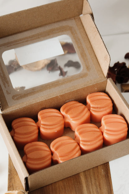 MAX MELTS PUMPKIN SPICE