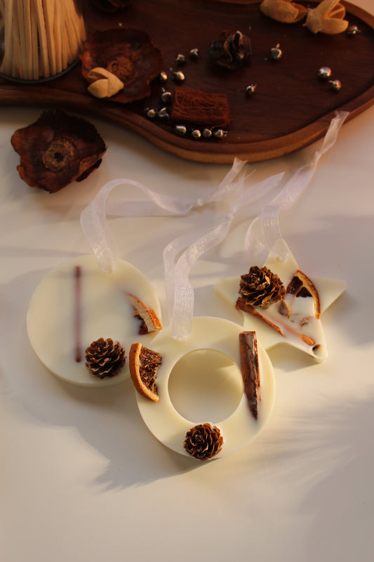 AMBIENTADOR WINTER SPICE